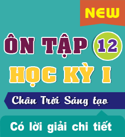 Ôn tập Học kỳ I (CTST_HH12)
